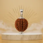 11 Mukhi Rudraksha Pendant