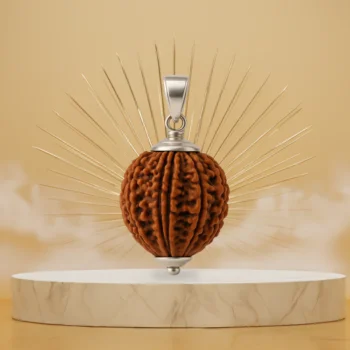 11 Mukhi Rudraksha Pendant